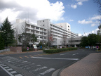 香川大学医学部