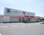 ﾚﾃﾞｨ薬局 紙町店